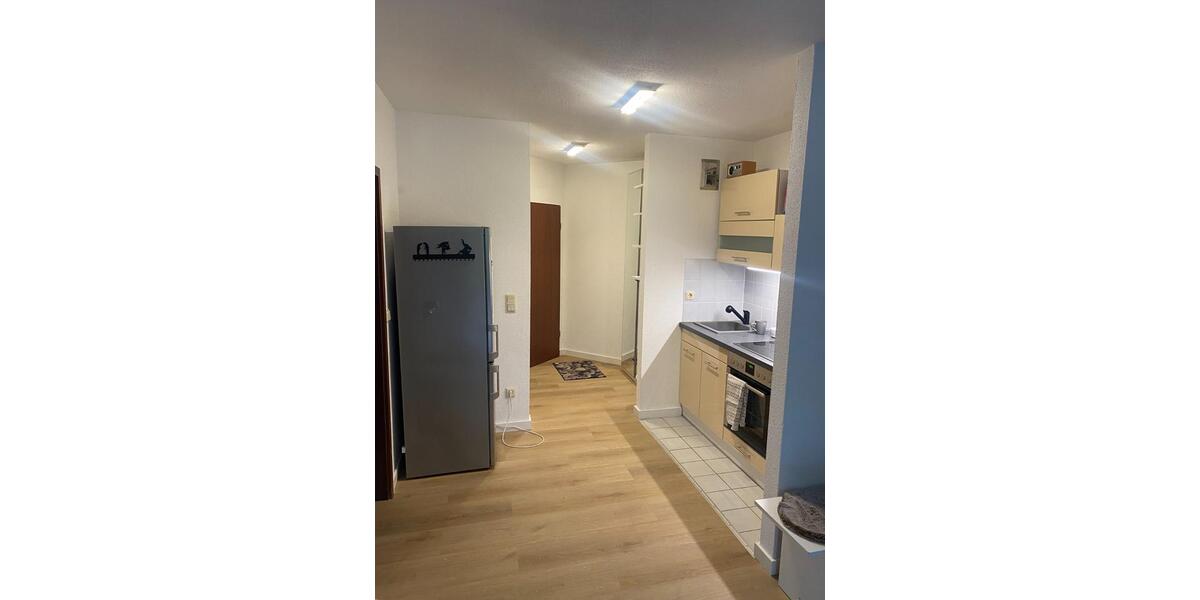 Exklusives Appartement mit Balkon und Einbauküche in der Mainaue 1 zimmer