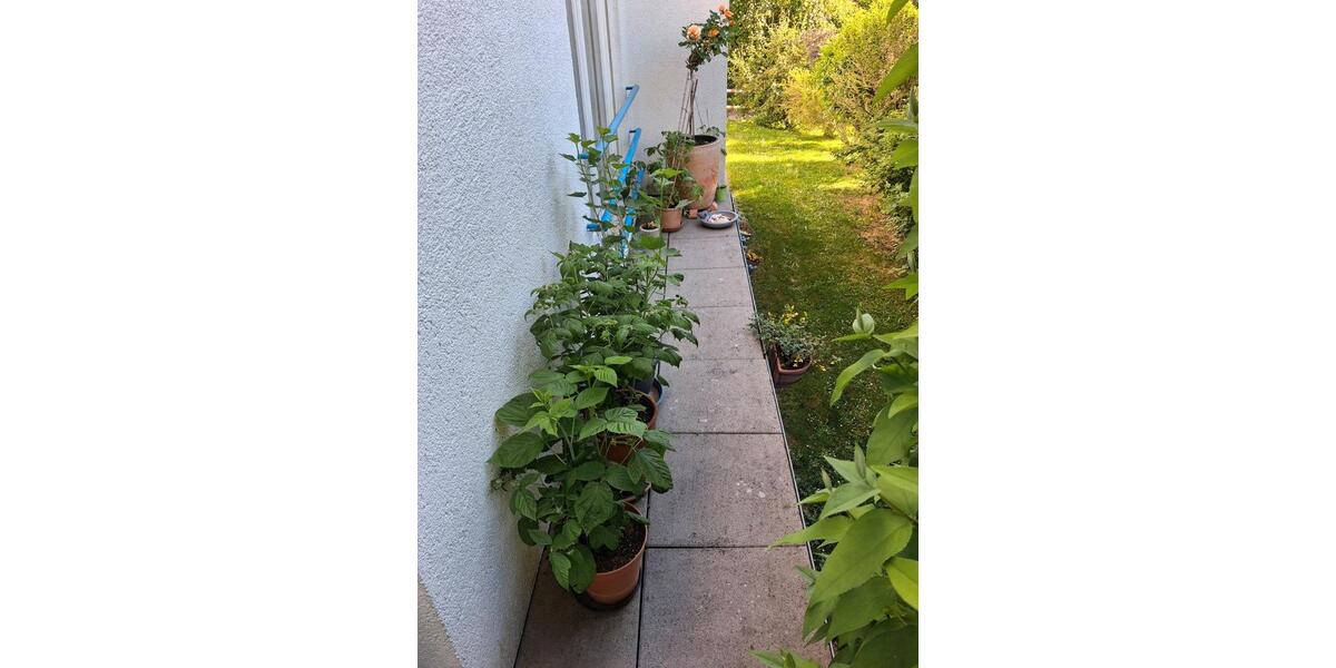 Terrassenwohnung Wehrheim - 3.5 Zimmer, 115 m&sup2;, 439.000&euro; | Angebot:26859242