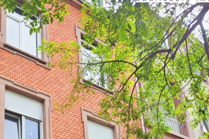 Haus zum Kaufen in Frankfurt am Main 990.000 € 219 m²