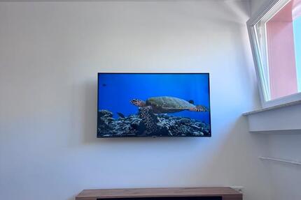 1,5 Zimmer Wohnung, Frankfurt-Eschersheim 1 zimmer