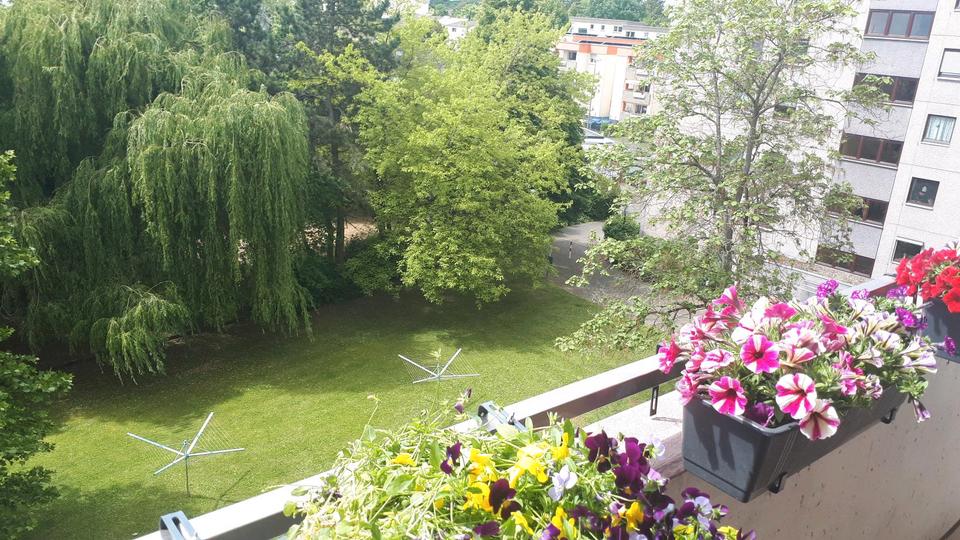 1 Zimmer Wohnung gegen 3 Zimmer Wohnung 1 zimmer