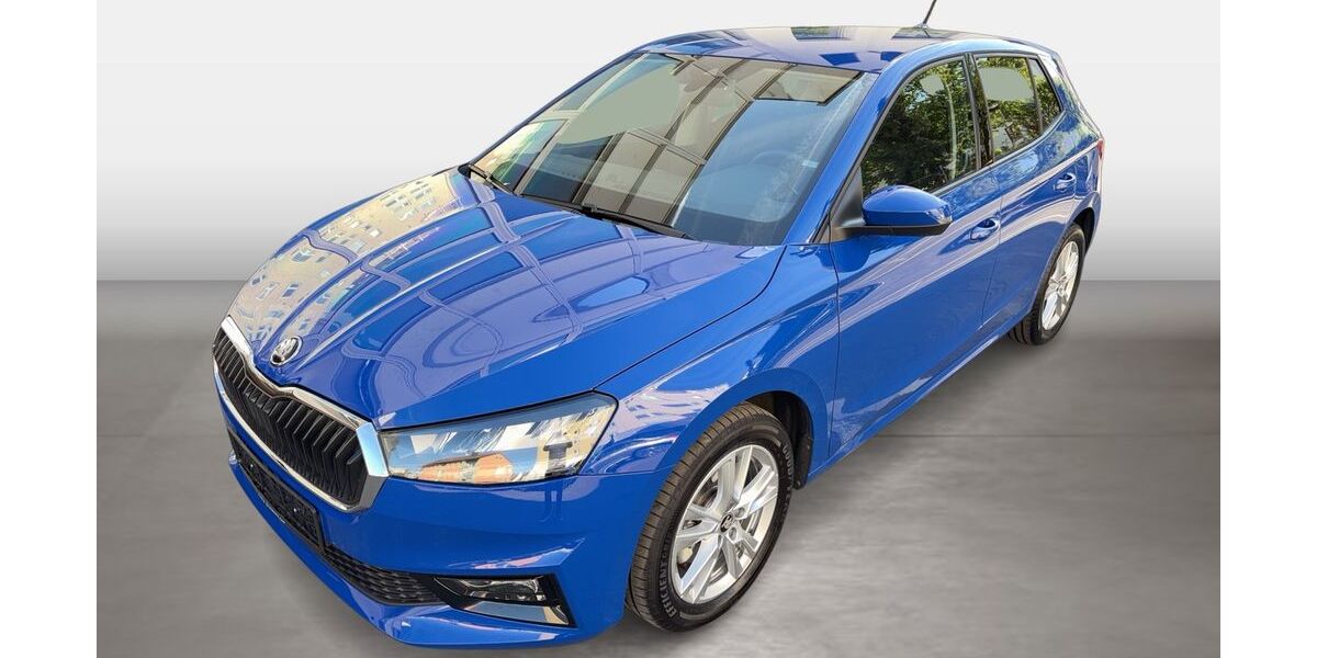 Skoda Fabia 12.967 km 21.880 &euro; Frankfurt am Main 60528
