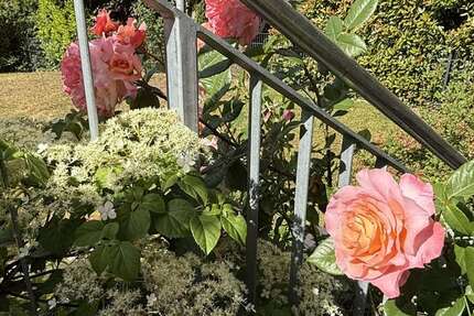 Wohnung zum Mieten in Hofheim am Taunus 1.380 € 76 m² 2 zimmer