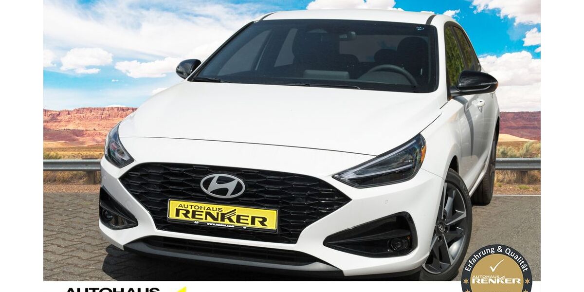 Hyundai i30 1.200 km 21.690 &euro; Darmstadt 64291