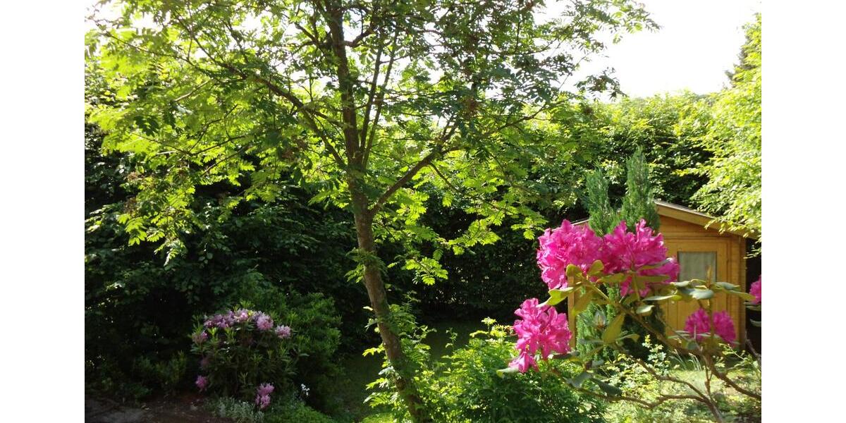 Einfamilienhaus Usingen - 7 Zimmer, 130 m&sup2;, 295.500&euro; | Angebot:9302287