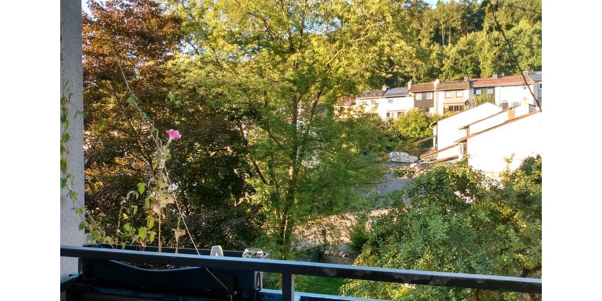 Etagenwohnung Eppstein - 2 Zimmer, 67 m&sup2;, 720&euro; | Angebot:25645581