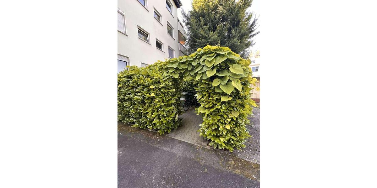 Etagenwohnung Frankfurt am Main Ginnheim - 1 Zimmer, 35 m&sup2;, 180.000&euro; | Angebot:27016009