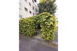 Etagenwohnung Frankfurt am Main Ginnheim - 1 Zimmer, 35 m&sup2;, 180.000&euro; | Angebot:27016009