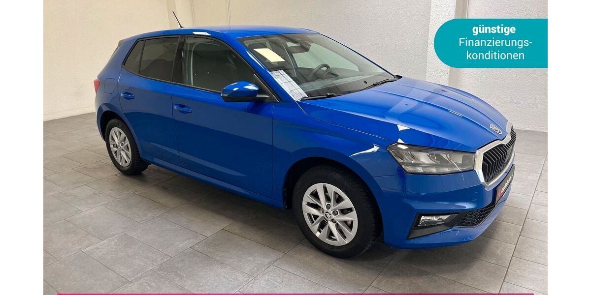 Skoda Fabia 29.748 km 13.390 &euro; Egelsbach 63329
