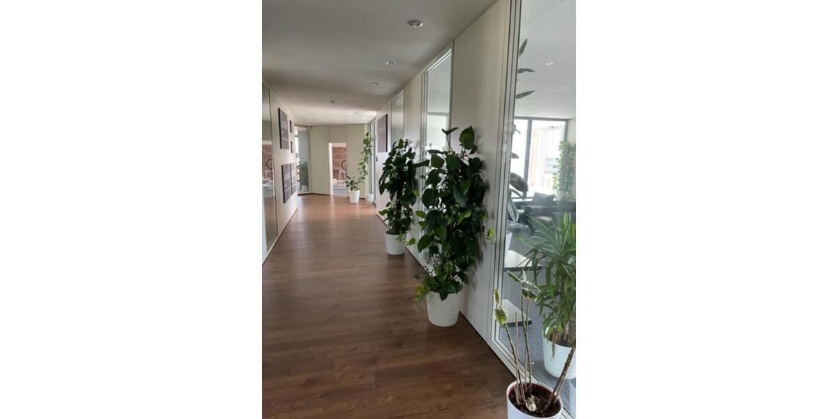 Exklusive Büroflächen – 360 m² mit Glastrennwänden, Dachterrasse zimmer