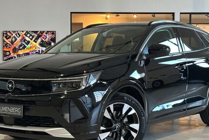 Opel Grandland (X) 109.985 km 14.980 &euro; Rodgau-Weiskirchen/nähe Frankfurt am Main 63110