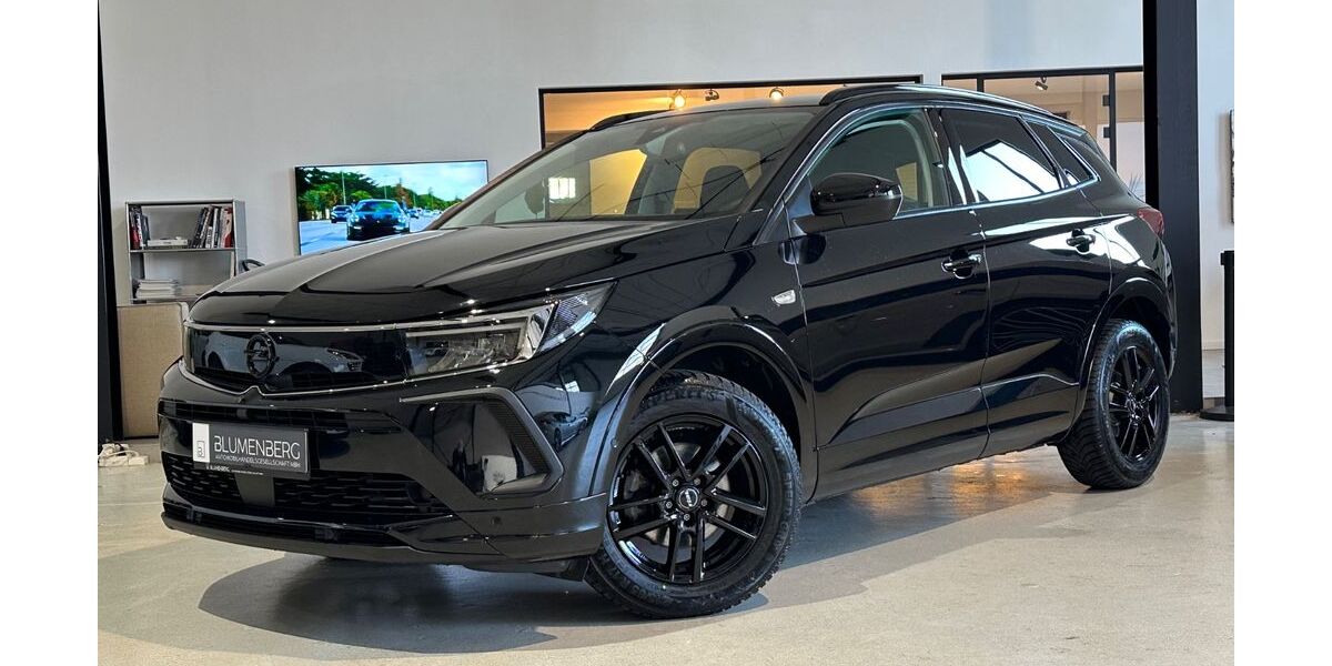 Opel Grandland (X) 73.909 km 17.980 &euro; Rodgau-Weiskirchen/nähe Frankfurt am Main 63110