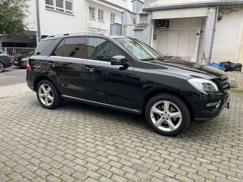 ML 250