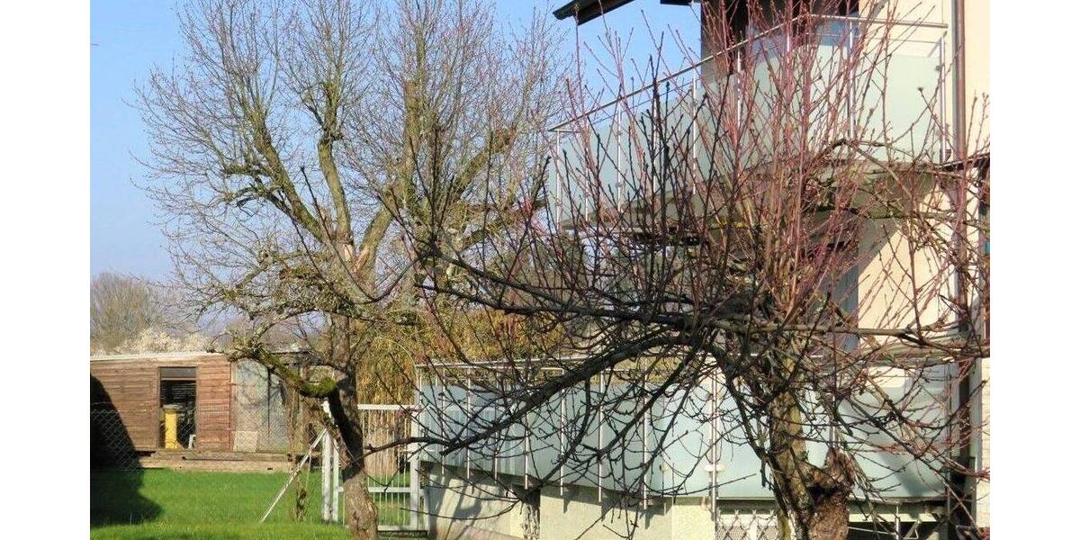 Geräumiges Zweifamilienhaus in ruhiger Ortsandlage 6 zimmer