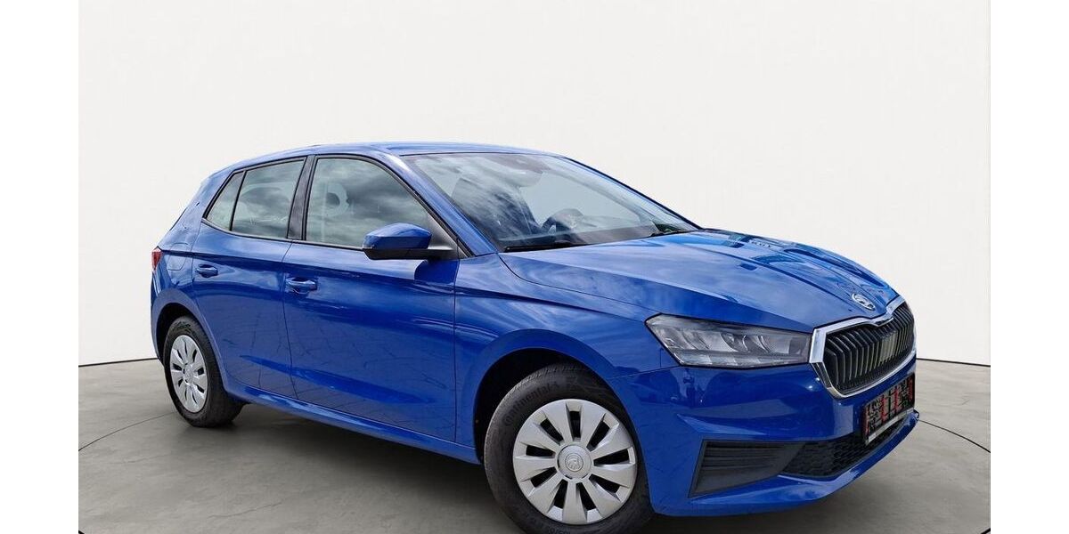 Skoda Fabia 50.876 km 13.150 &euro; Friedberg 61169