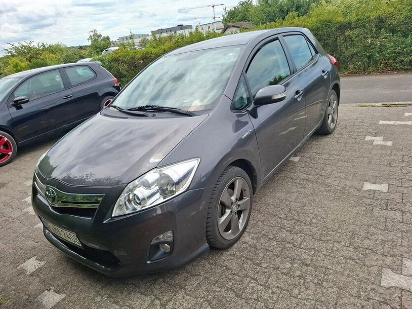 Auris