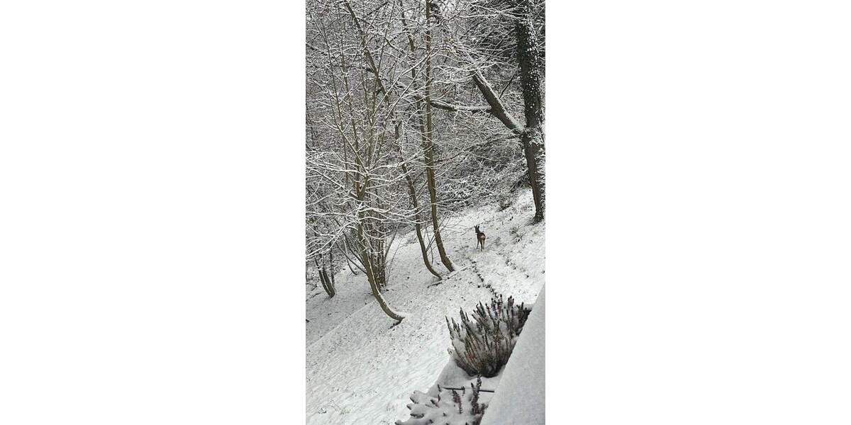 Mehrfamilienhaus, Wohnhaus Bad Soden Altenhain - 4 Zimmer, 90 m&sup2;, 800&euro; | Angebot:25274928