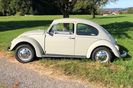 VW Käfer 60.000 km 13.000 &euro; Groß-Zimmern 64846