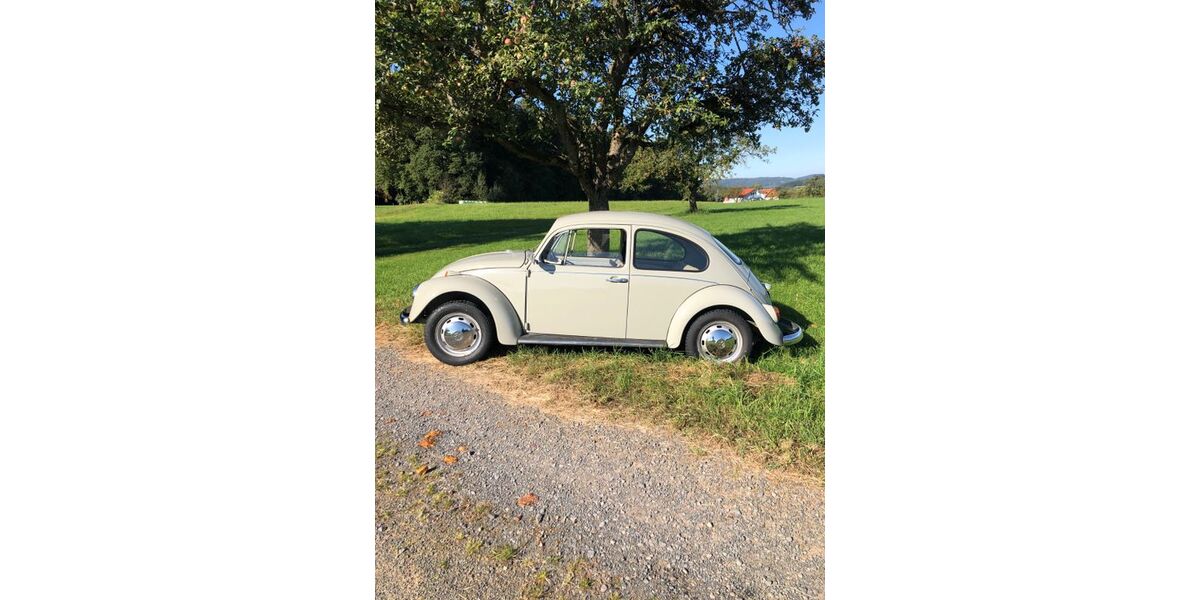VW Käfer 60.000 km 13.000 &euro; Groß-Zimmern 64846