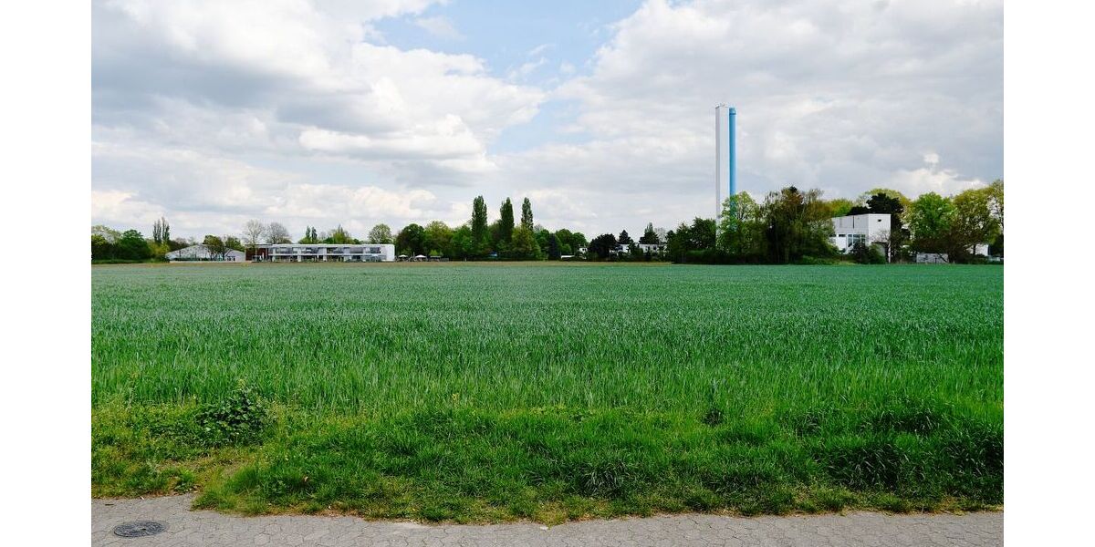 Architektenbungalow + Einliegerwohnung + separate Büroeinheit in Feldrandlage von DA-Arheilgen - Bungalow Darmstadt-Arheilgen Darmstadt/Vororte | Angebot:26440066
