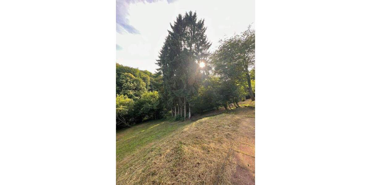 Mehrfamilienhaus, Wohnhaus Bad Soden Altenhain - 4 Zimmer, 90 m&sup2;, 800&euro; | Angebot:25720668