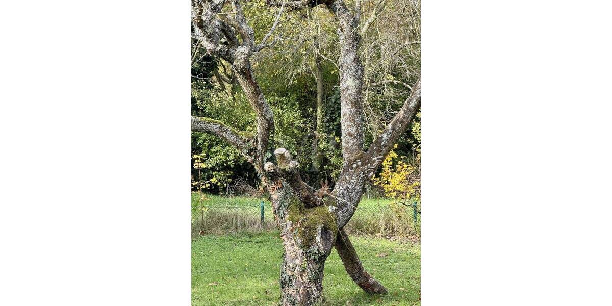 Bungalow Kelkheim (Taunus) Kelkheim - 5 Zimmer, 151 m&sup2;, 690.000&euro; | Angebot:25775180