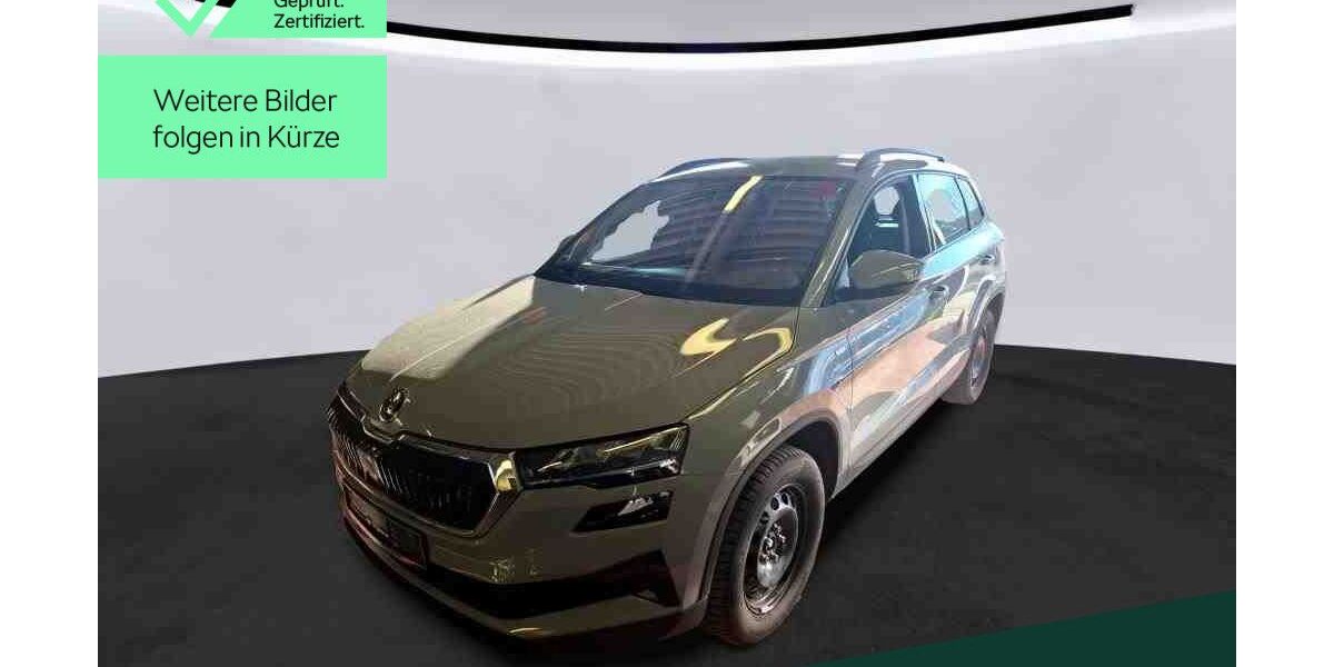 Skoda Karoq 53.800 km 26.249 &euro; Mühlheim 63165