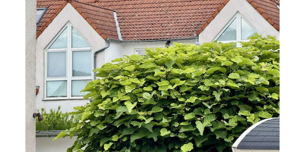 Etagenwohnung Frankfurt am Main Nieder-Erlenbach - 2 Zimmer, 51 m&sup2;, 225.000&euro; | Angebot:25663757