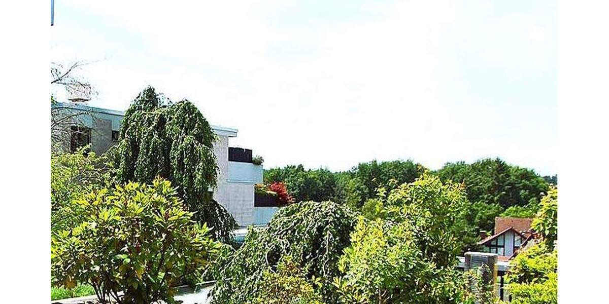 Terrassenwohnung Dreieich Dreieichenhain - 2 Zimmer, 118 m&sup2;, 425.000&euro; | Angebot:25782945