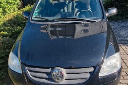 VW Fox