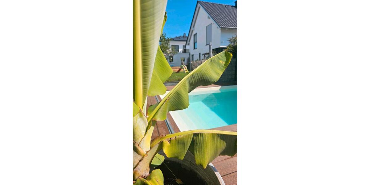 Einfamilienhaus Erlensee - 7 Zimmer, 147 m&sup2;, 790.000&euro; | Angebot:26415507