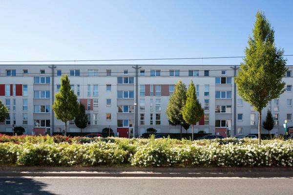 3-Zimmer-Wohnung mit Einbauküche und Mietergarten 3 zimmer