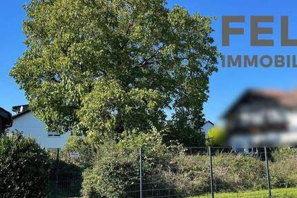 Herrliches Baugrundstück in Dieburg zimmer