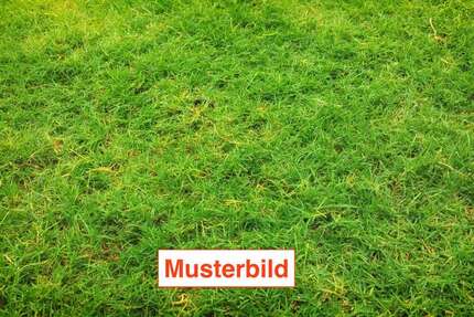 Grundstück Bad Nauheim - 299.000&euro; | Angebot:27156823