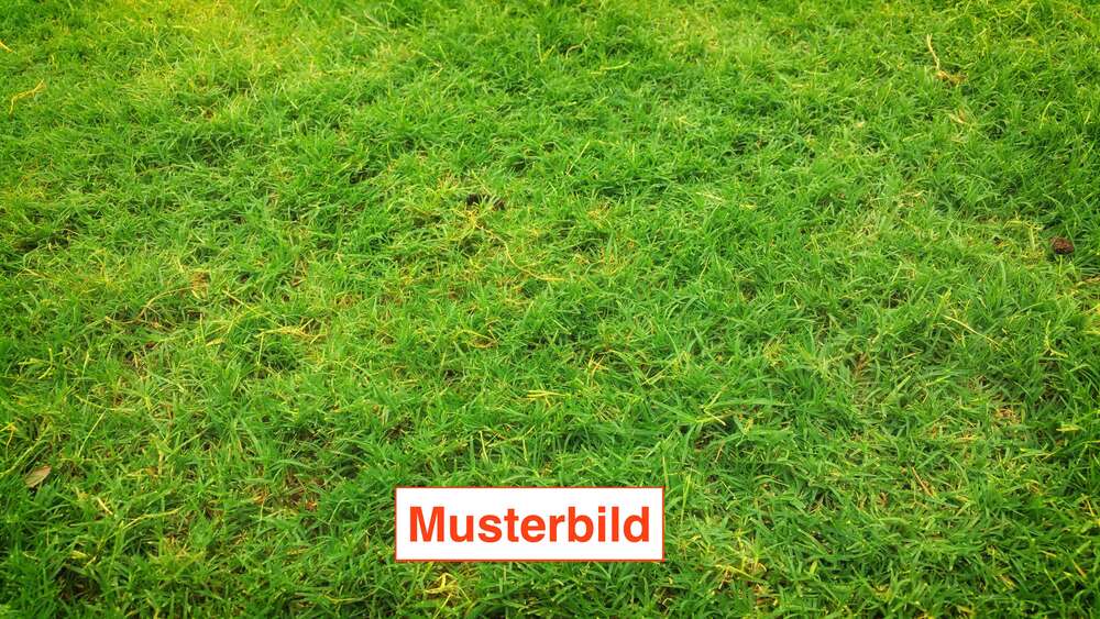 Grundstück Bad Nauheim - 299.000&euro; | Angebot:27156823