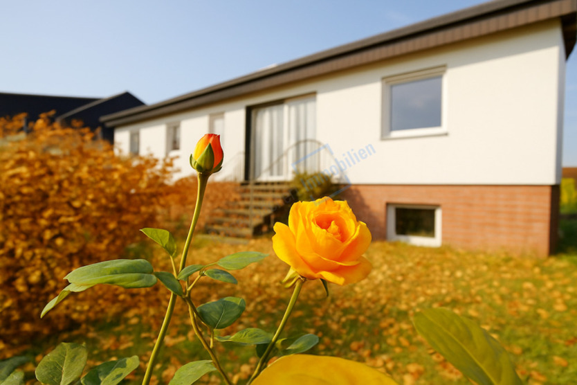 ... HERBSTROSE ... RESERVIERT 4 zimmer