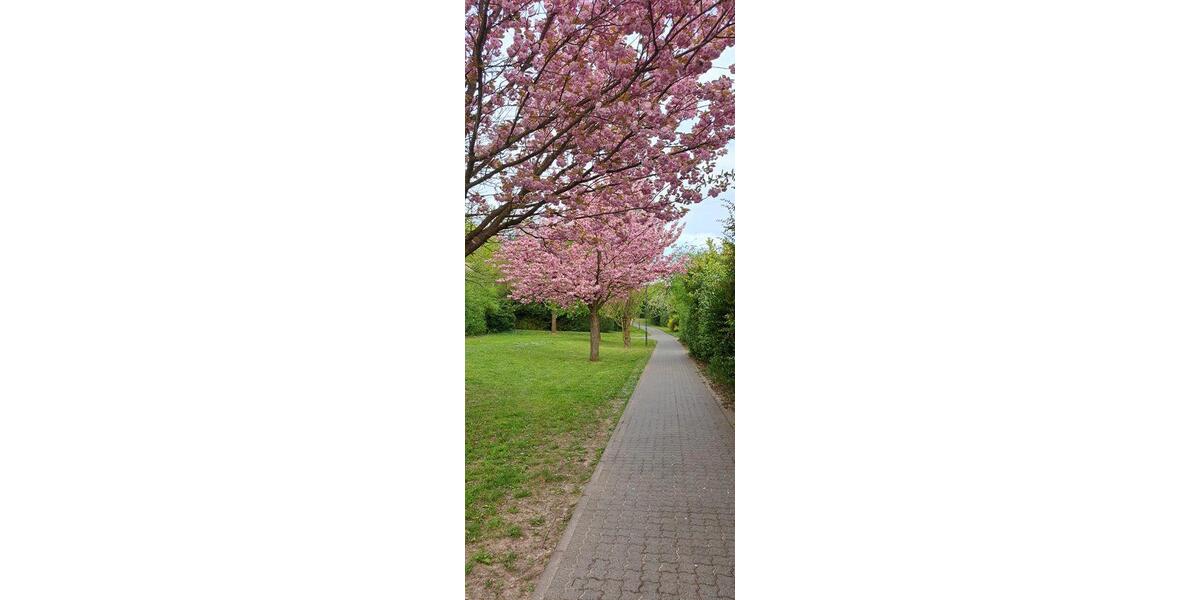 Etagenwohnung Bad Vilbel - 3 Zimmer, 79 m&sup2;, 439.000&euro; | Angebot:26888164