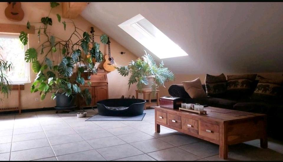 Einfamilienhaus Hanau Lamboy - 670.000&euro; | Angebot:26944561