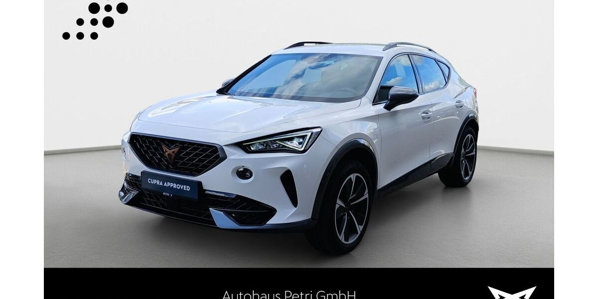 Cupra Formentor 59.812 km 22.990 &euro; Hofheim-Diedenbergen 65719