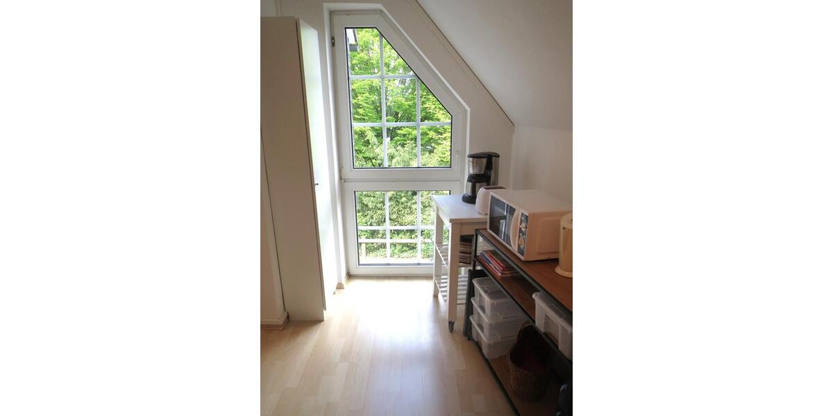 Dachgeschoßwohnung Offenbach am Main Bieberer Berg - 1 Zimmer, 60 m&sup2;, 550&euro; | Angebot:26688974