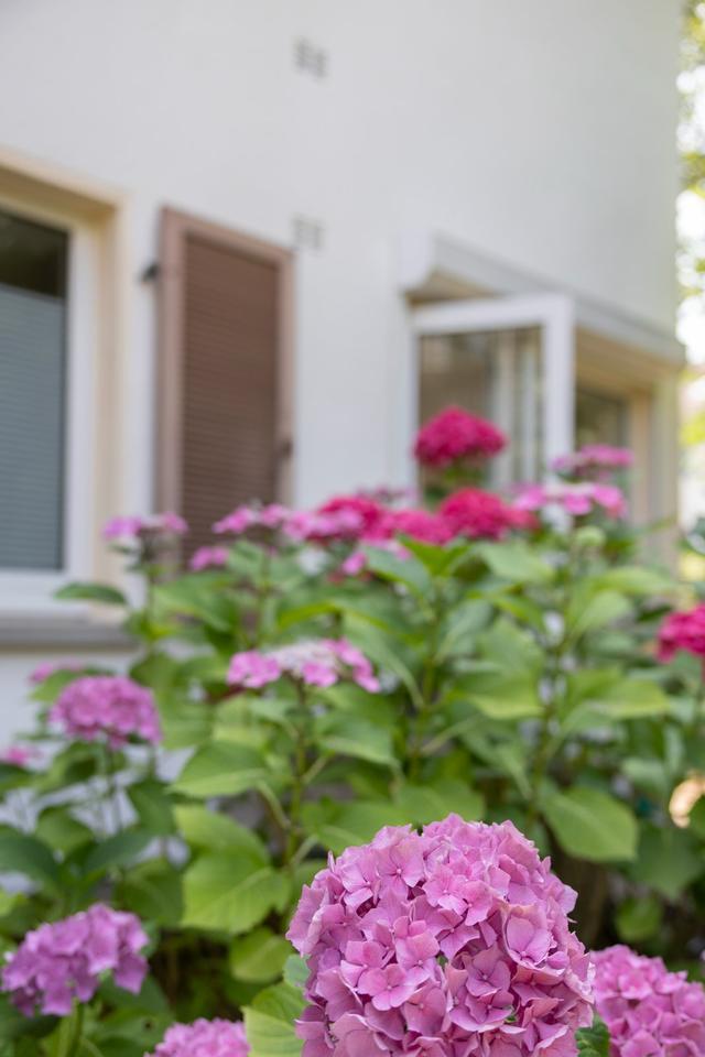 Zu vermieten:Freistehendes Einfamilienhaus mit großem Garten