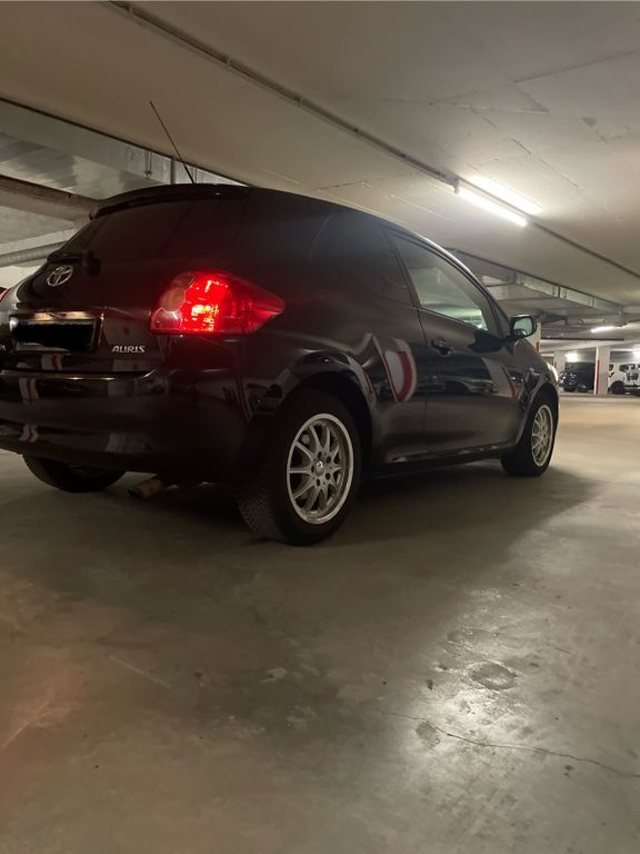 Auris
