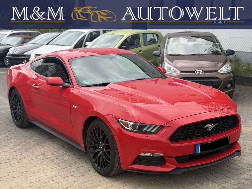 Mustang