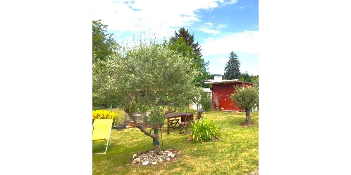 Kleine grüne Oase in der Stadt 3 zimmer