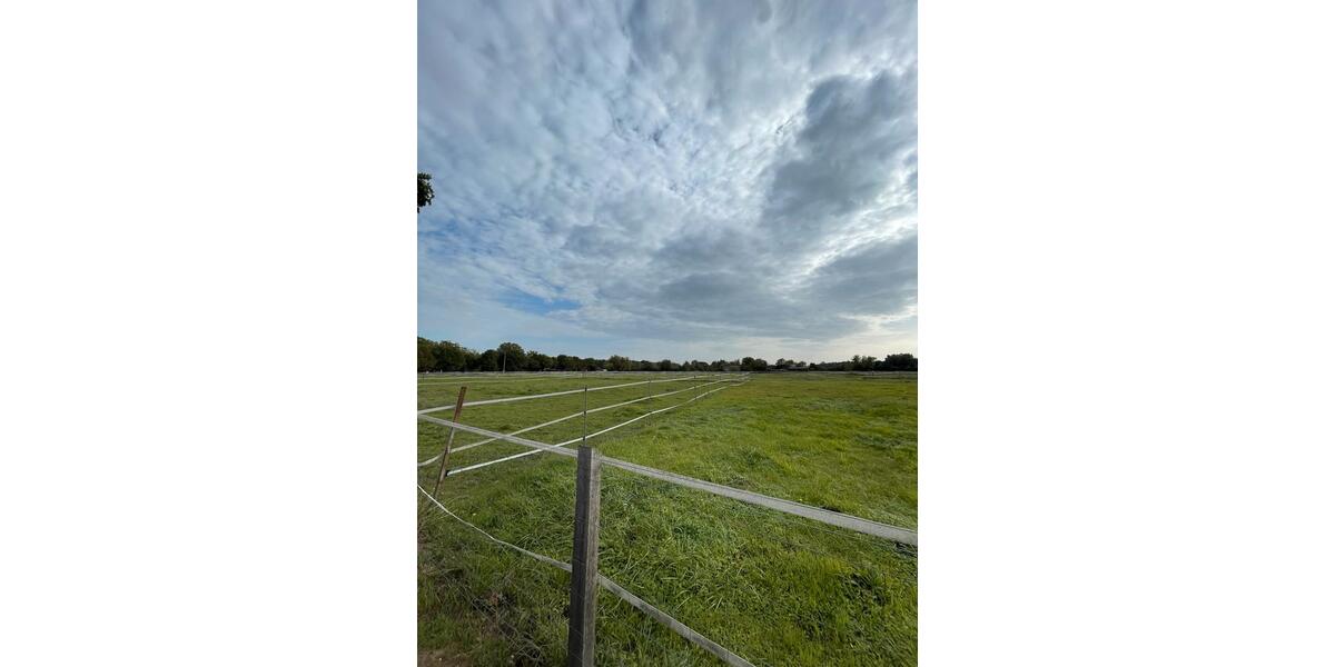 Einfamilienhaus Obertshausen - 3 Zimmer, 92 m&sup2;, 450.000&euro; | Angebot:25554095