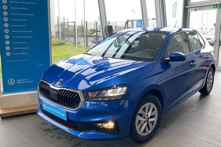 Skoda Fabia 1.100 km 19.850 &euro; Bad Vilbel 61118
