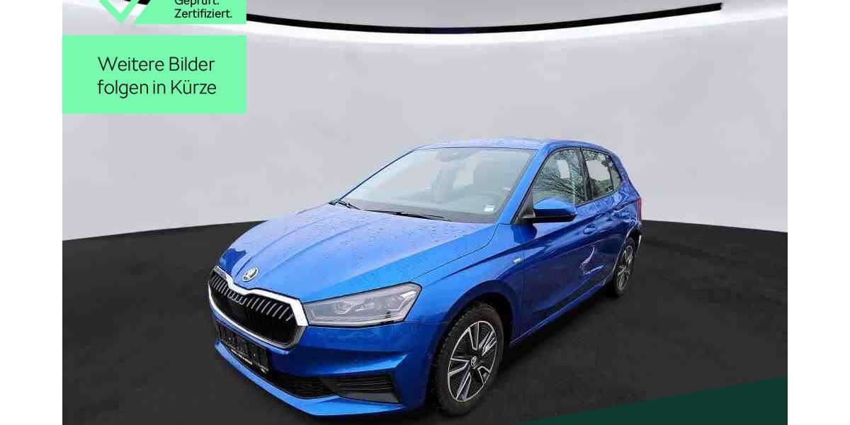 Skoda Fabia 70.000 km 15.849 &euro; Mühlheim 63165