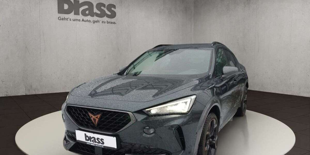 Cupra Formentor 70.259 km 28.680 &euro; Frankfurt-Rödelheim 60488