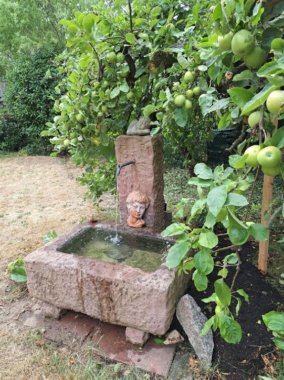 albero:) Haus mit Charme und Platz für Ideen