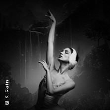 Grand Classic Ballet - Schwanensee - Jenseits der Bühne mit live Streichquartett 10.05.2026 Willy Brandt Halle